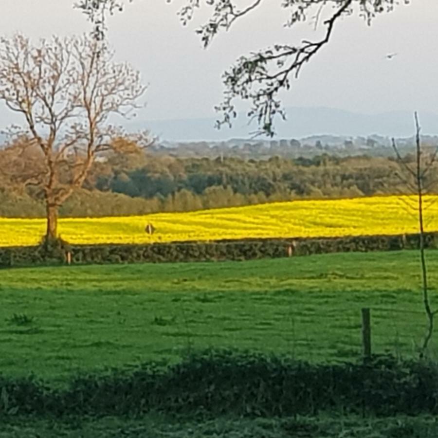 Вілла Oldfarm Ніна Екстер'єр фото